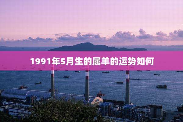 1991年5月生的属羊的运势如何