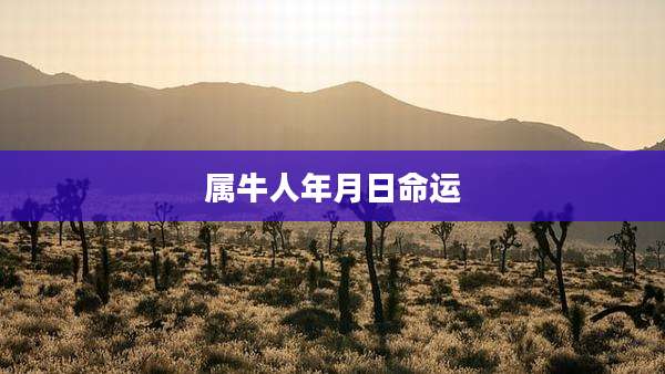 属牛人年月日命运