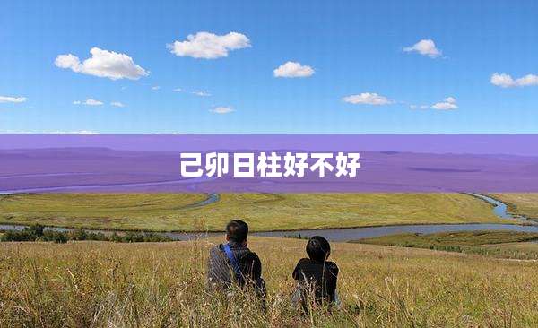 己卯日柱好不好