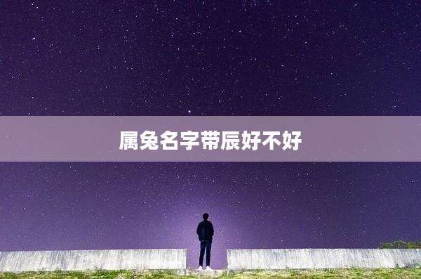 属兔名字带辰好不好