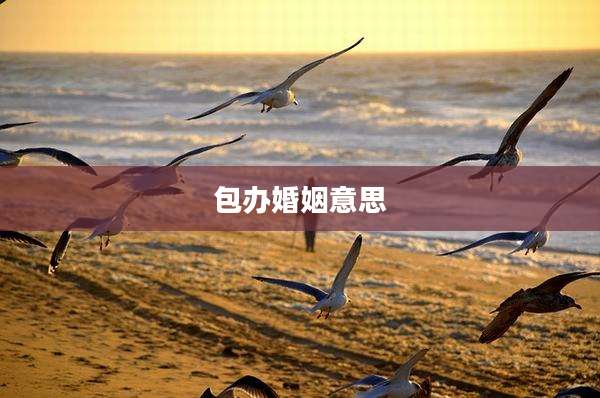 包办婚姻意思