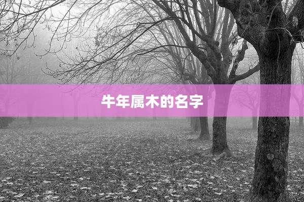 牛年属木的名字