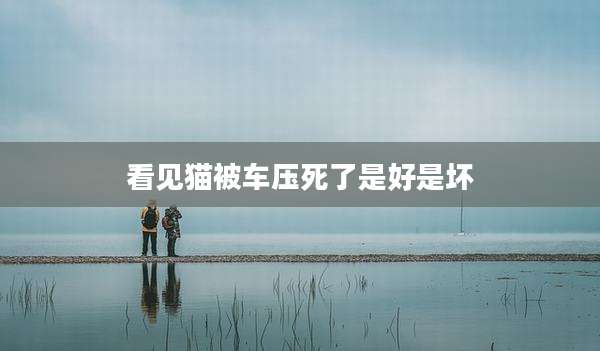 看见猫被车压死了是好是坏