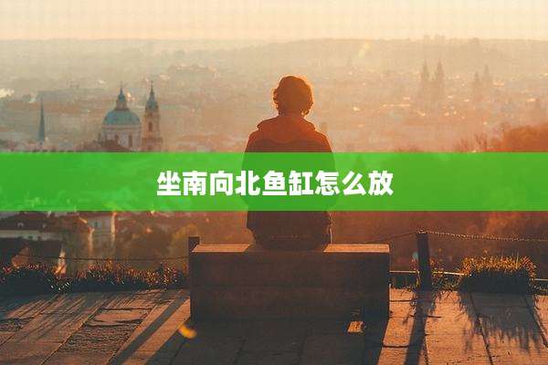 坐南向北鱼缸怎么放