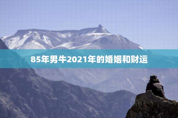 85年男牛2021年的婚姻和财运