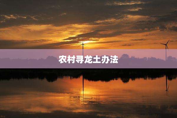 农村寻龙土办法
