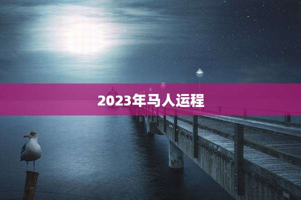 2023年马人运程