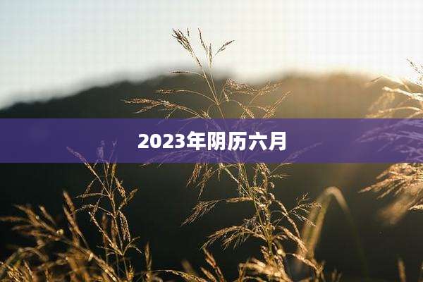2023年阴历六月