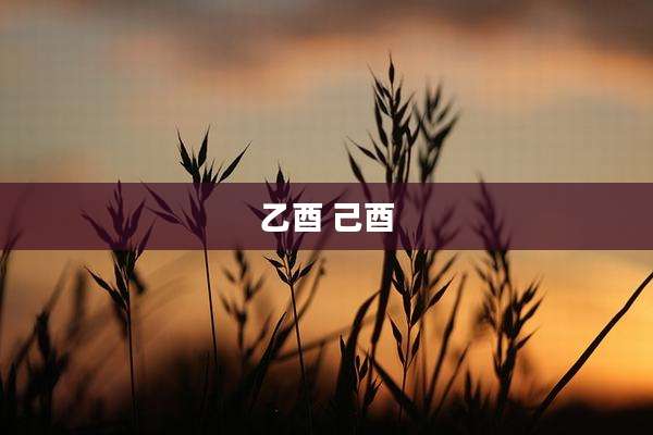 乙酉 己酉