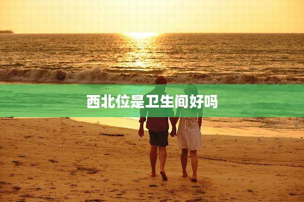 西北位是卫生间好吗