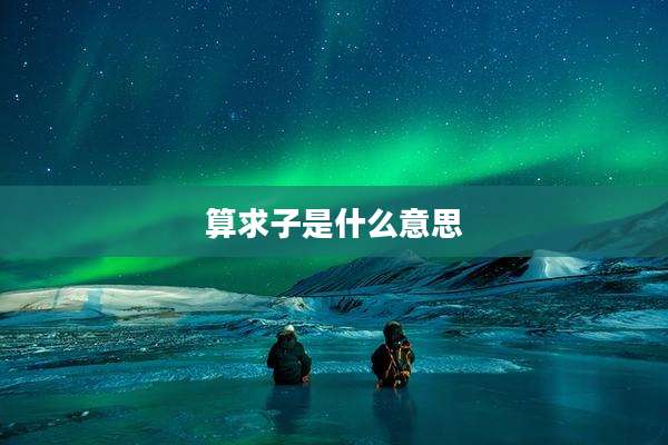 算求子是什么意思
