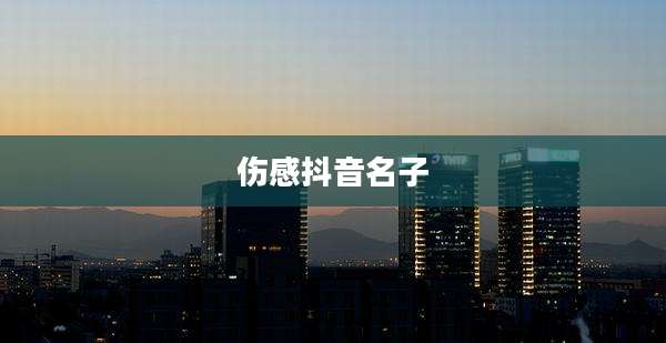 伤感抖音名子