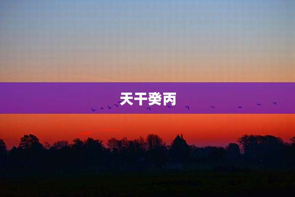 天干癸丙