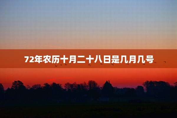 72年农历十月二十八日是几月几号