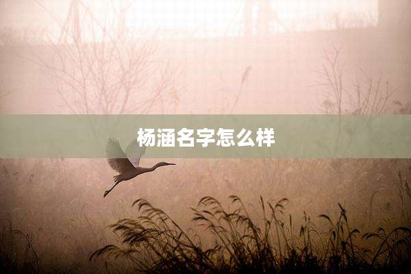 杨涵名字怎么样