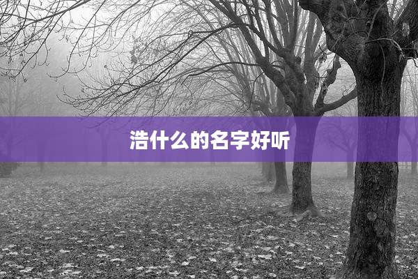 浩什么的名字好听