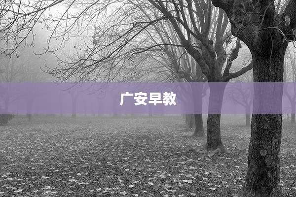 广安早教