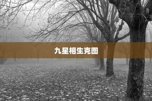 九星相生克图