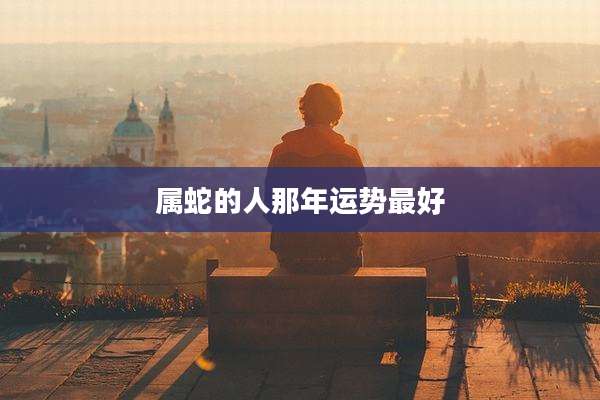 属蛇的人那年运势最好