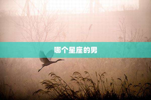 哪个星座的男