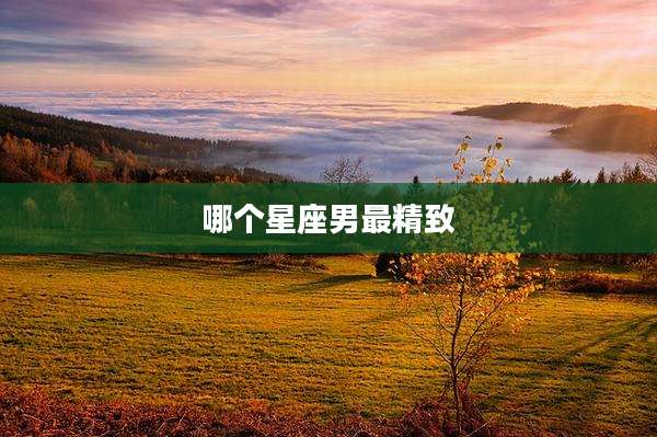 哪个星座男最精致