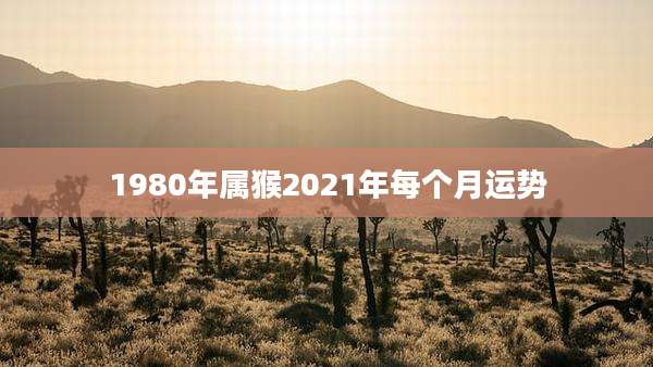 1980年属猴2021年每个月运势
