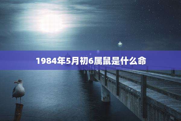 1984年5月初6属鼠是什么命