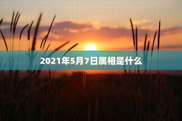 2021年5月7日属相是什么