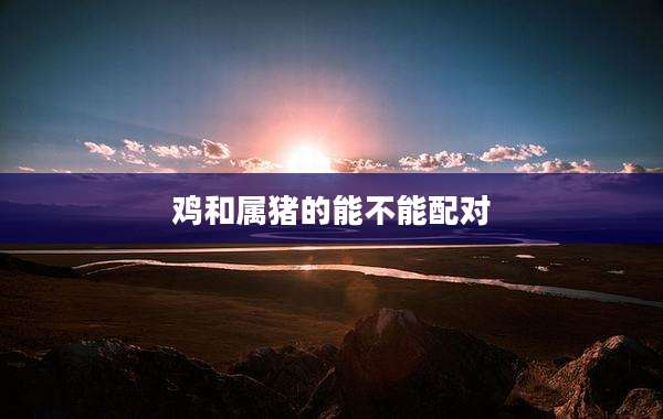 鸡和属猪的能不能配对