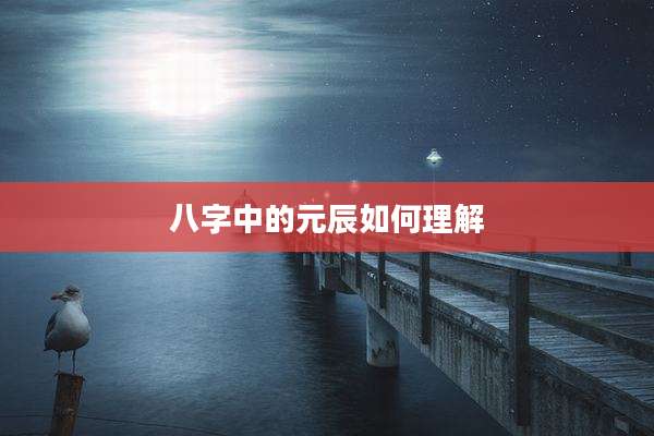 八字中的元辰如何理解