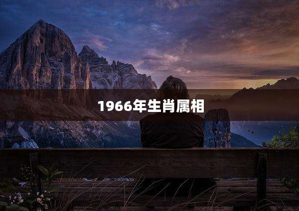 1966年生肖属相