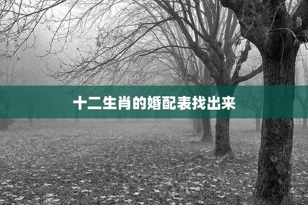 十二生肖的婚配表找出来