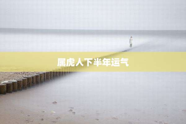 属虎人下半年运气