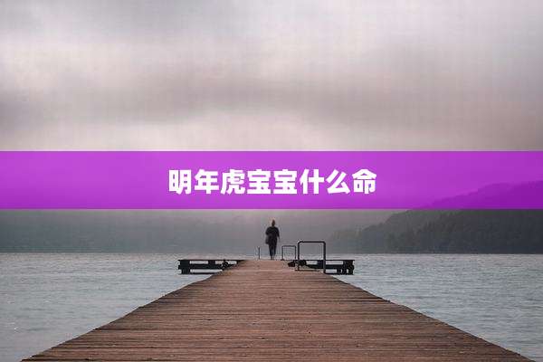 明年虎宝宝什么命