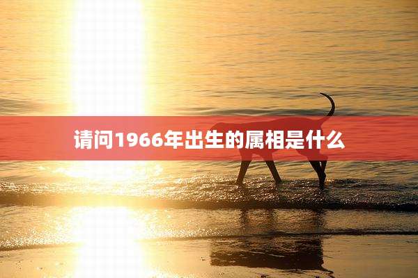 请问1966年出生的属相是什么