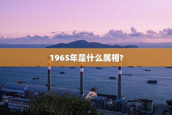 1965年是什么属相?