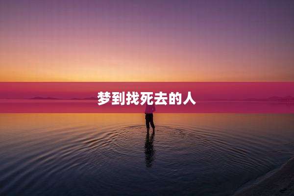 梦到找死去的人