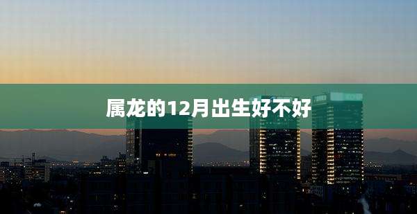 属龙的12月出生好不好