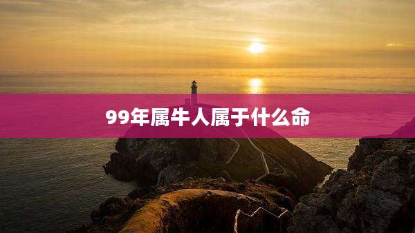 99年属牛人属于什么命