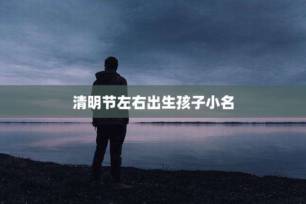 清明节左右出生孩子小名
