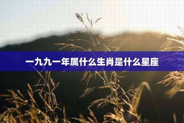 一九九一年属什么生肖是什么星座