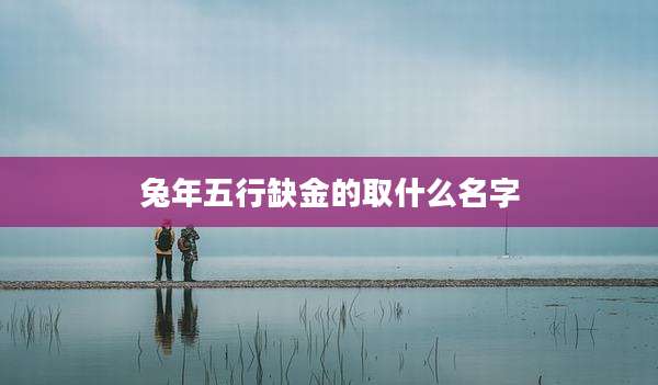 兔年五行缺金的取什么名字