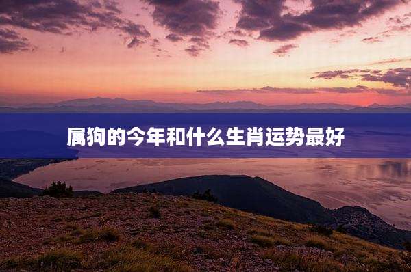 属狗的今年和什么生肖运势最好