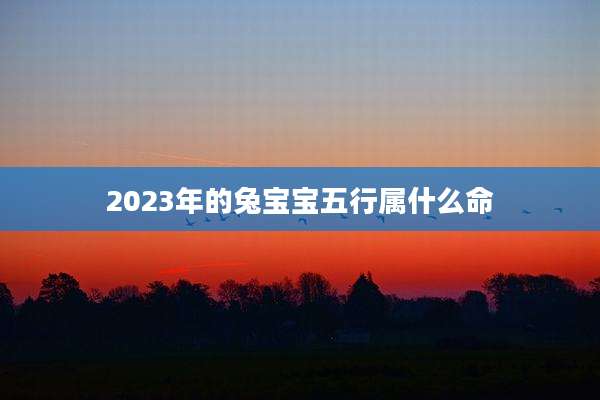 2023年的兔宝宝五行属什么命