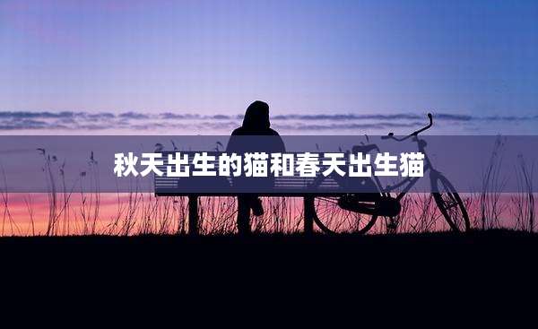 秋天出生的猫和春天出生猫