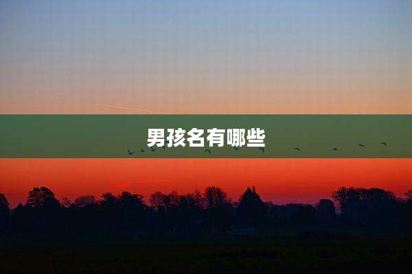 男孩名有哪些