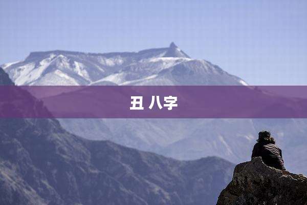 丑 八字