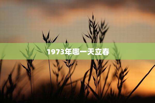 1973年哪一天立春