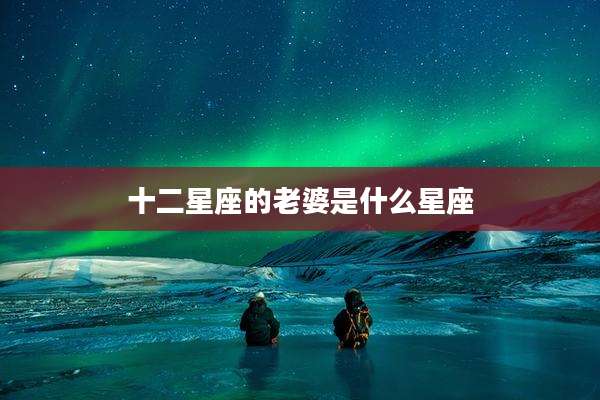 十二星座的老婆是什么星座