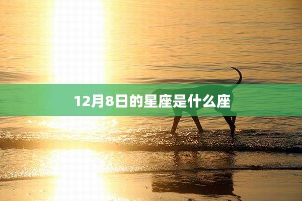 12月8日的星座是什么座